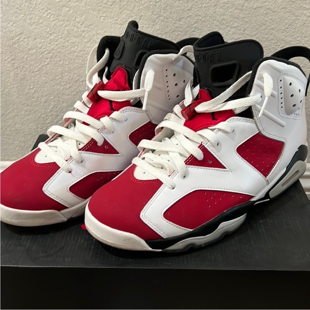 Nike Air Jordan 6 Retro Carmine Red 10.5